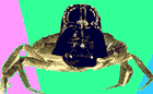 Crab